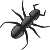 An Ant Clip Art